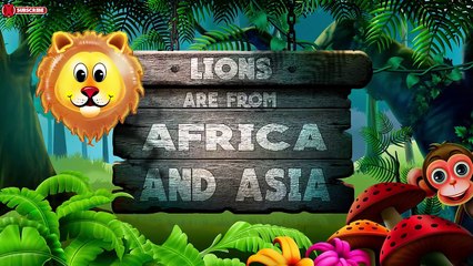 Lion VS Giant Anaconda Snake - Real Fight