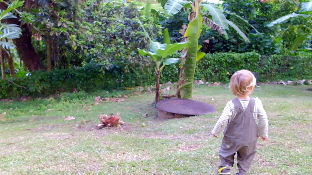 Douceur dans le jardin (3)