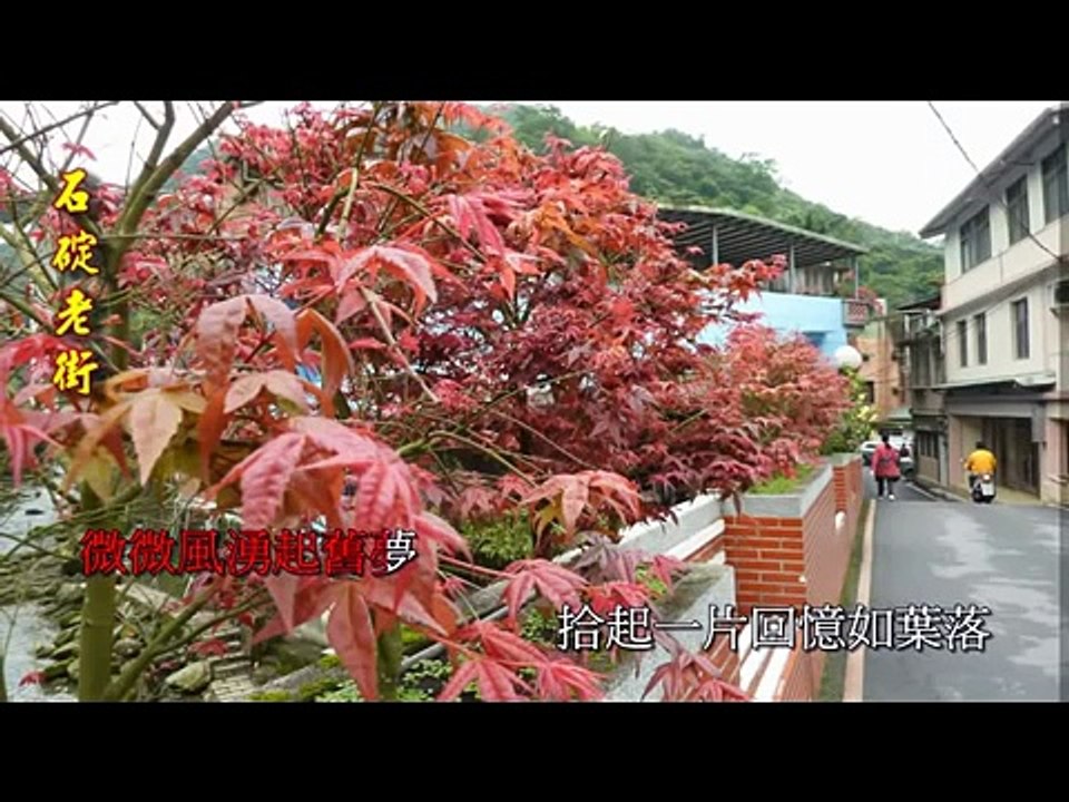 舊夢　彭佳慧