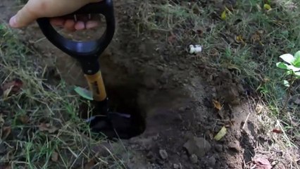Le Dakota Du Feu Trou De Survie Hack #49