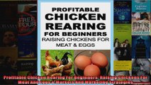 Profitable Chicken Rearing For Beginners Raising Chickens For Meat And Eggs  Markets And