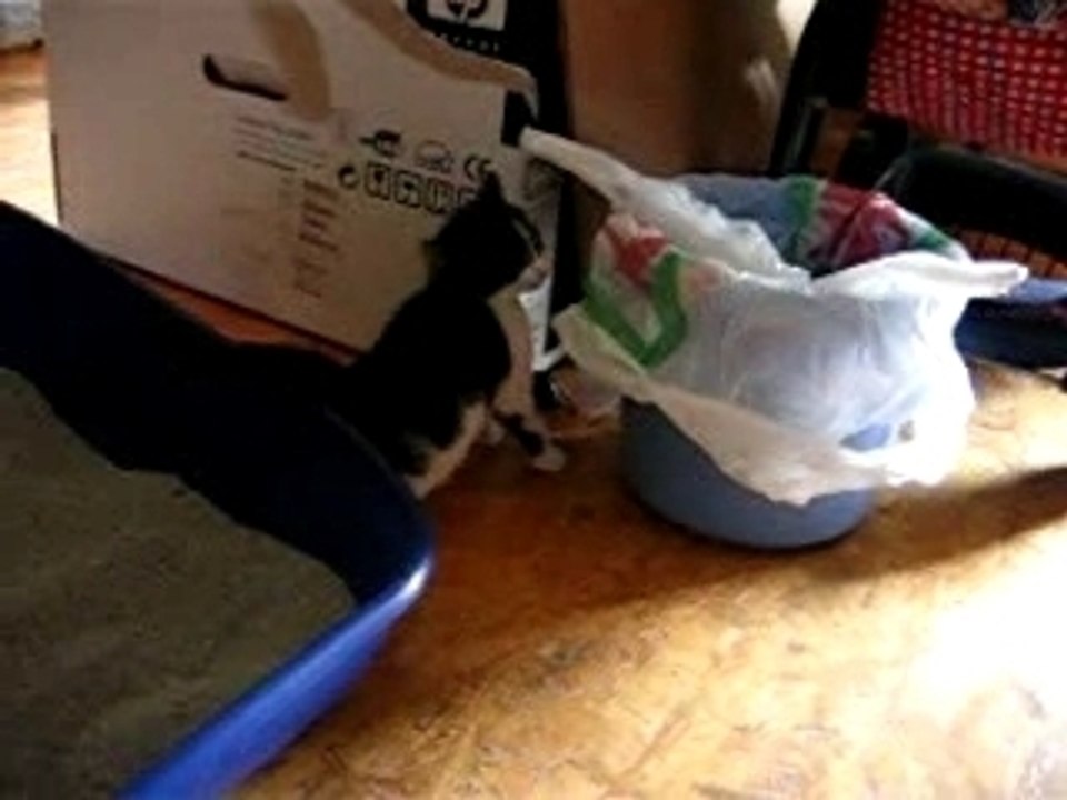 VideoMinichats_110607