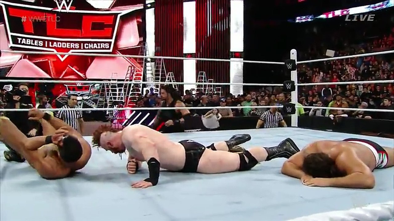 Roman Reigns Attack Triple h Final match