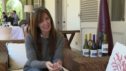 "Bicicleta": le vin chilien qui fâche les viticulteurs français