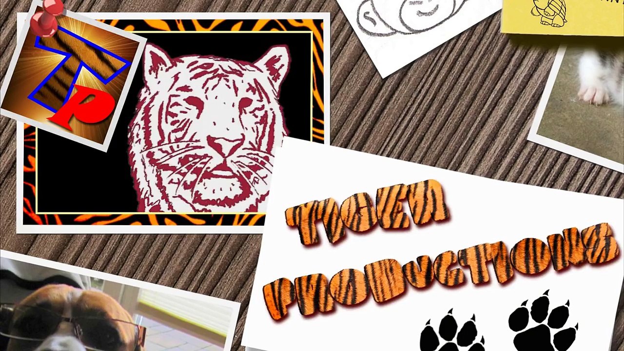 Cats and dogs together are so silly - Funny cat & dog compilation