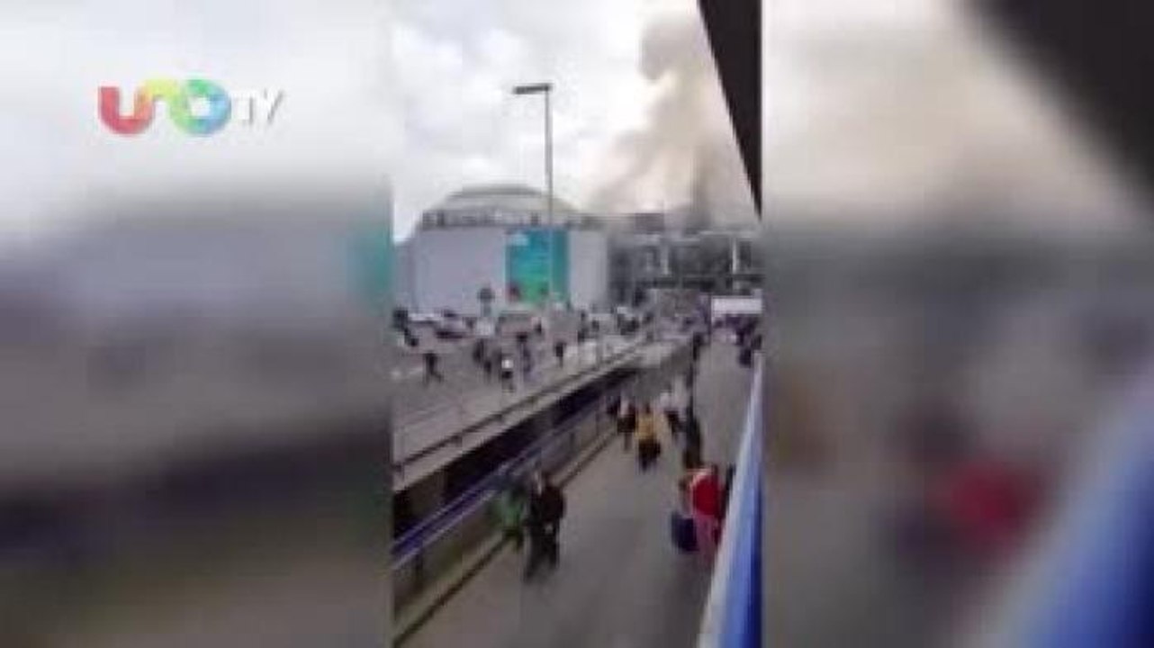 Ana María Salazar. Tenemos que estar preparados ante atentados que afecten a mexicanos