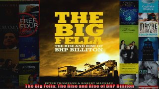 The Big Fella The Rise and Rise of BHP Billiton
