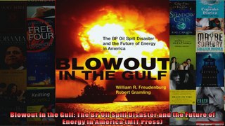 Blowout in the Gulf The BP Oil Spill Disaster and the Future of Energy in America MIT