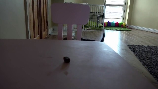 Успех - это уметь использовать случай