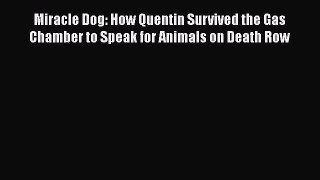 Download Miracle Dog: How Quentin Survived the Gas Chamber to Speak for Animals on Death Row