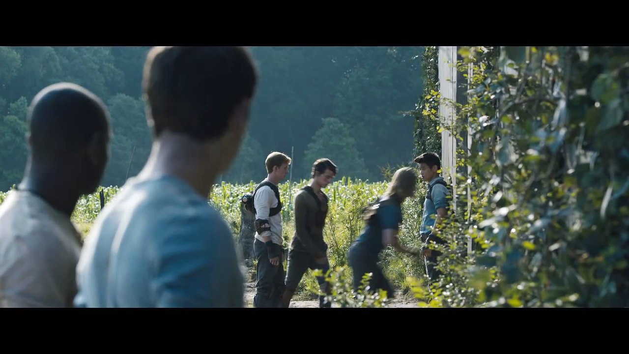 El Corredor del Laberinto _ Trailer Oficial HD (1080p)