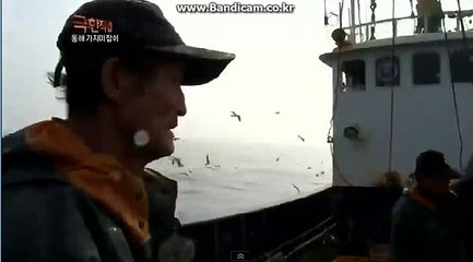 #토토 사이트 제작, 임대, 판매 카톡: haricuty스카이프:haricuty