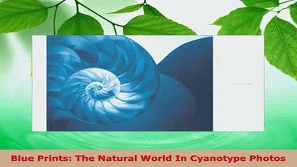 Download  Blue Prints The Natural World In Cyanotype Photos Ebook