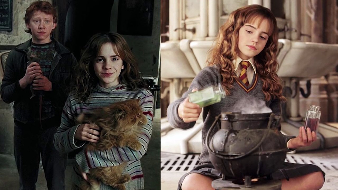 HERMIONE POLYJUICE CAT TRANSFORMATION!