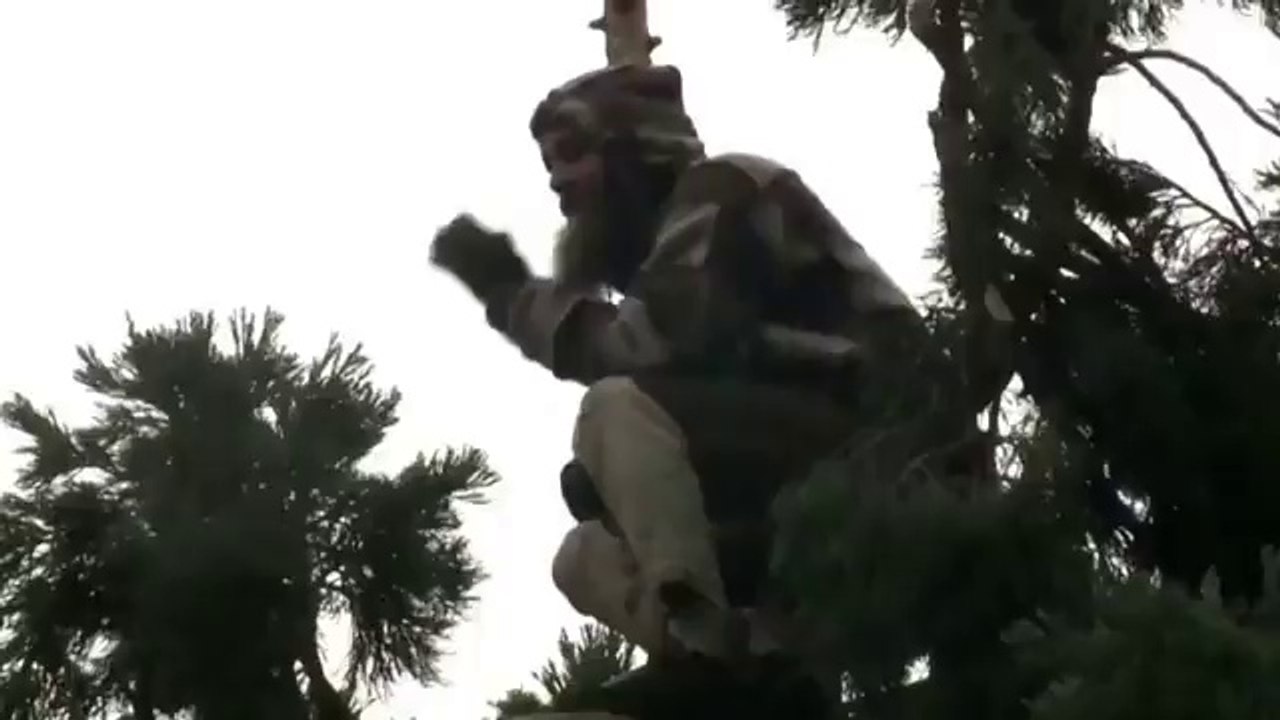 After 25 hours, Seattle man descends tree