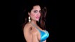 SEXY Arshi Khan To Pose NUDE For Shahid Afridi | T20 World Cup 2016