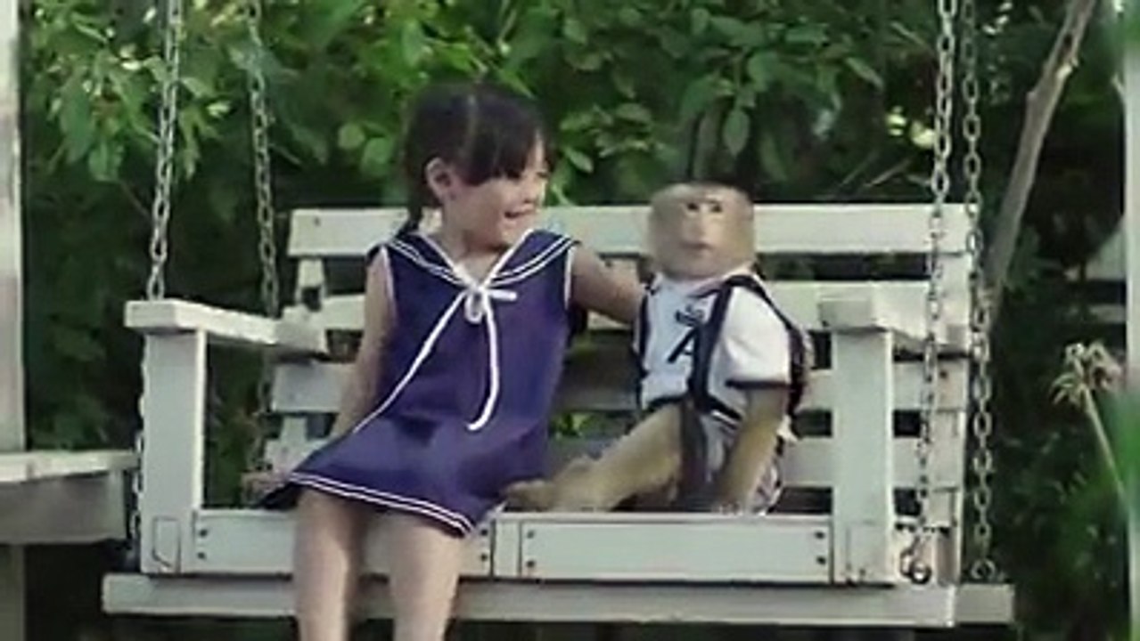 Monkey and Human