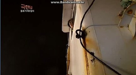 #토토 사이트 제작, 임대, 판매 카톡: haricuty스카이프:haricuty