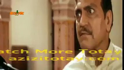 Pakistani cricket teams