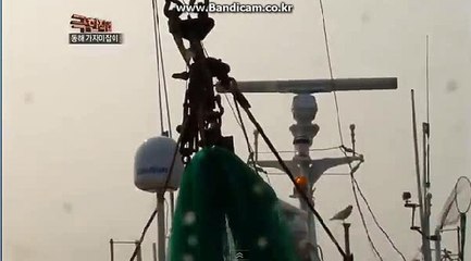 #사설토토제작 토토솔루션 카톡:haricuty 스카이프:haricuty