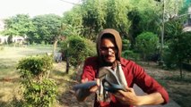 Funny Pakistani Clips BB Vines