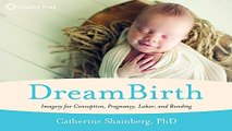 Download DreamBirth  Imagery for Conception  Pregnancy  Labor  and Bonding