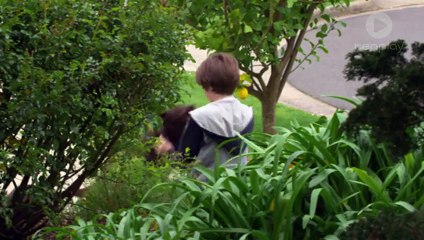 Shortland Street Episode 5658 20th January 2015 720p