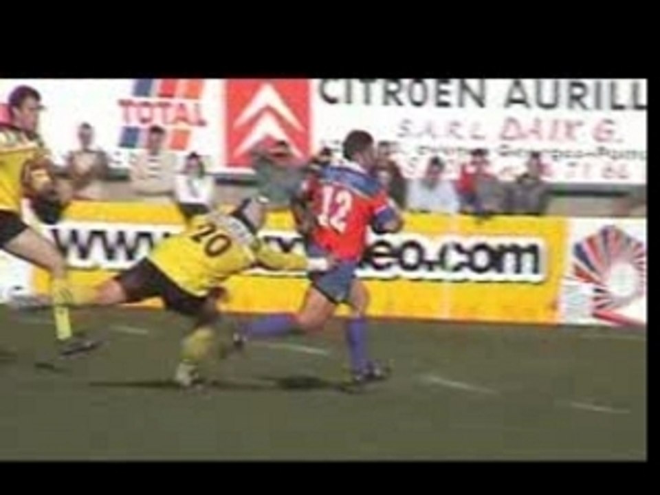 Gonti_albi