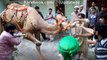funy free vedio Camel Qurbani Eid ul Azha on watch dailymotion(