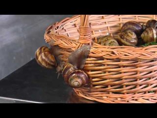 Rreze Dielli, "Te gatuajme me zonjen Tefta" Green Go Garden 25 mars, P.1