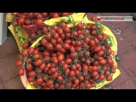 Tg Antenna Sud - Coldiretti all'Ue da Bari: Giù le mani dal piatto