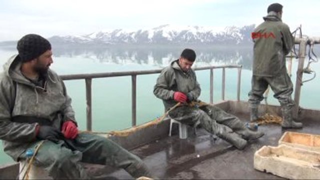 Van İnci Kefalleri'nin İkinci Yuvası Erçek Gölü Oldu