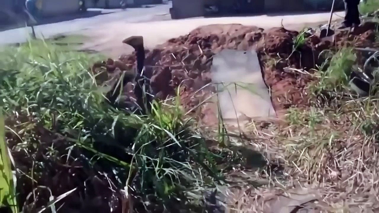Короткая подборка самых епичных фейлов Best fail and funny videos 002