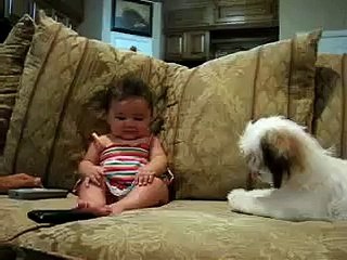 Baby Amazing Tricks For Dog Funny Videos