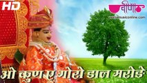 O Kun Ae Goro HD Video | New Rajasthani Gangaur Songs 2016 | Gangour Dance Festival Songs