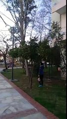 VİNE sahibi geldi kaç kaç !!!!! komik 2 li izle