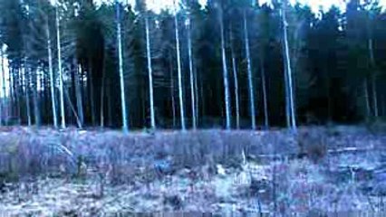 2 German Shepherds and their master chased by a pack of hungry coyotes.