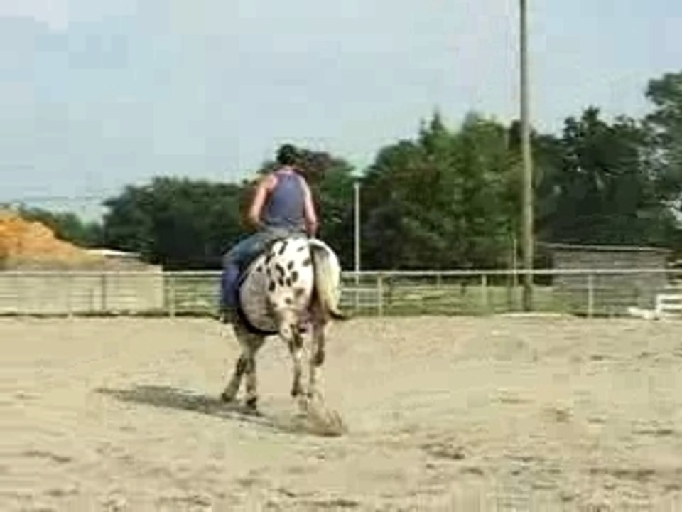 Galop Monky