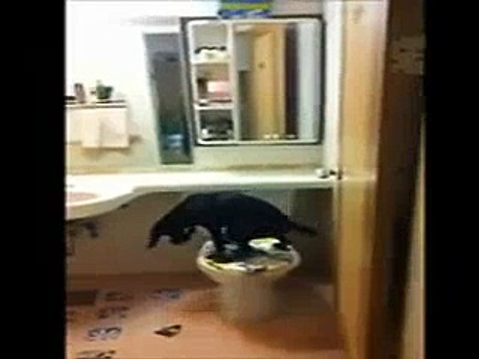 OMG_Unbelievable - Funny Videos