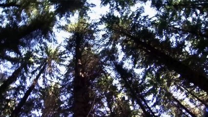 Game of Thrones Season 1: Episode #1 - Permanently Winter (HBO)