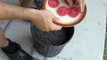 Ele colocou 4 rodelas de tomate num vaso… 10 dias depois… Impressionante! Não imaginava que fosse possível!
