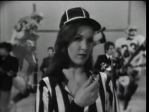 The Hollies - Look Through Any Window