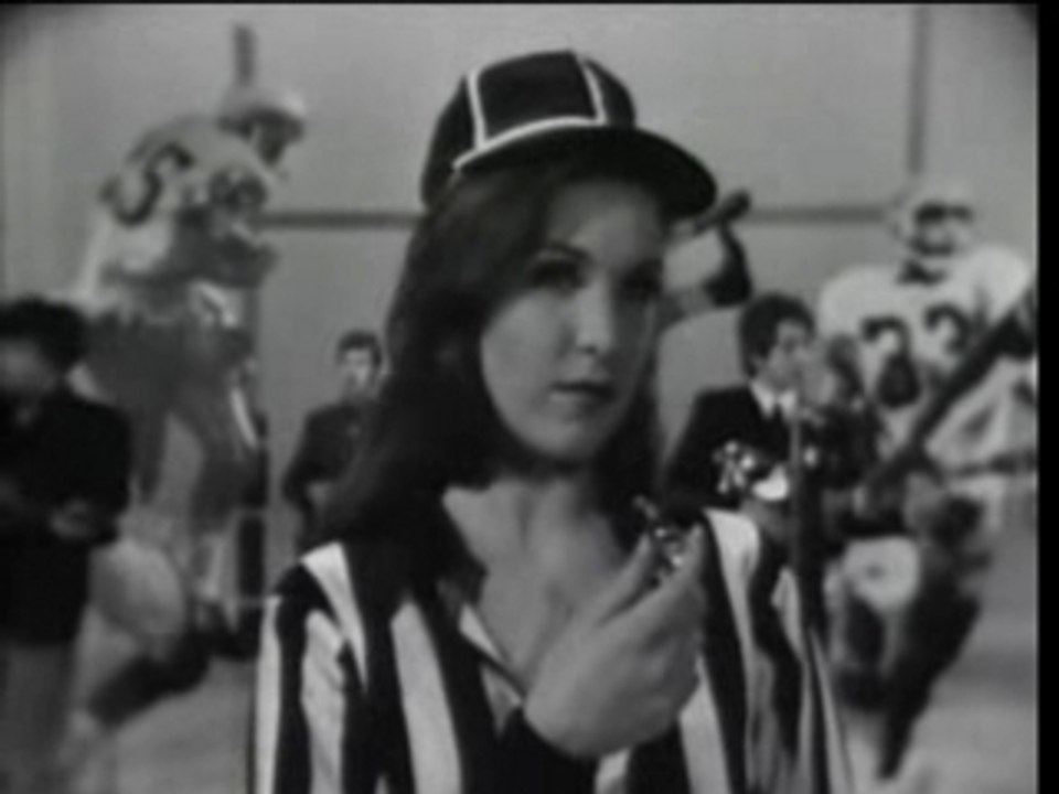 The Hollies - Look Through Any Window