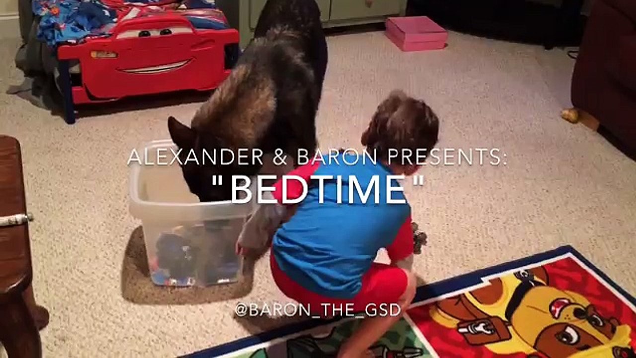 -Bedtime- featuring Baron The German Shepherd