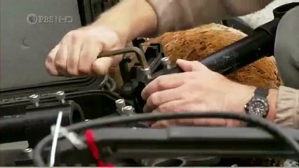 Habitat of the Orca Killer Whales & Sea Creatures 18