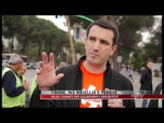 Tirane, nis mbjellja e pemeve - News, Lajme - Vizion Plus