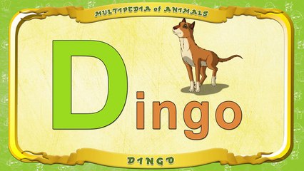 Multipedia of Animals Letter D Dingo
