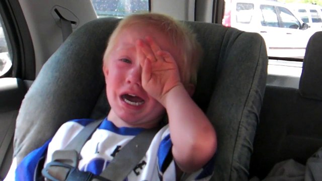 Un GPS terrorise un enfant : les ours sont là... au Zoo !!