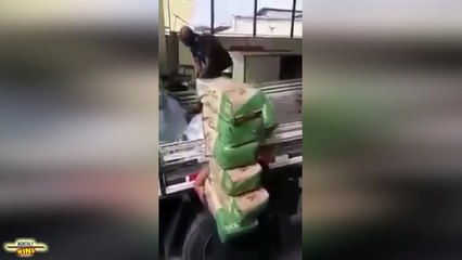 Epic WINS Compilation    December 2015    MonthlyFails