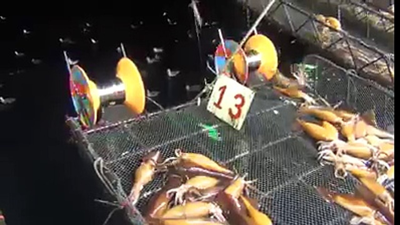 Denizde Kalamar bırakmadılar